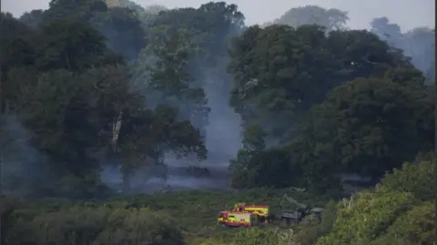 Andrew Matthews/PA Wire Smoke can still be seen rising from dense heathland and woodland in the New Forest.
