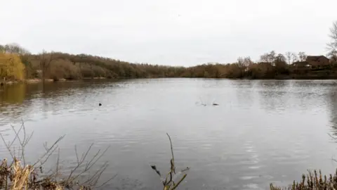 Telford and Wrekin Council A large lake, surrounded by grasses, bushes and trees