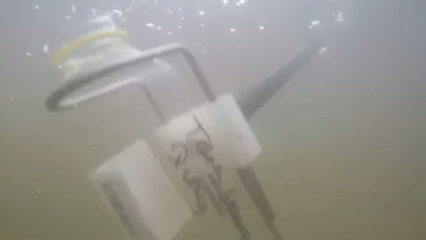 A bottle is held underwater to get a sample for quality testing at Steamer Quay