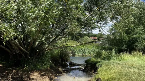 Matt Marvel/BBC A river bank that has been breached as water flows onto grassland, with houses in the background.