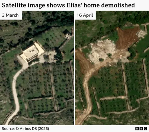 A before and after satellite image showing the Elias' home. An image on the left shows the house and its olive groves on 3 March, and an image on the right taken on 16 April shows the house demolished and parts of its olive grove destroyed.