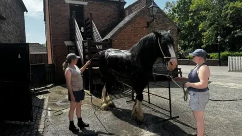 Two women in shorts and caps hose a dark-coloured horse in front of a large brick building.