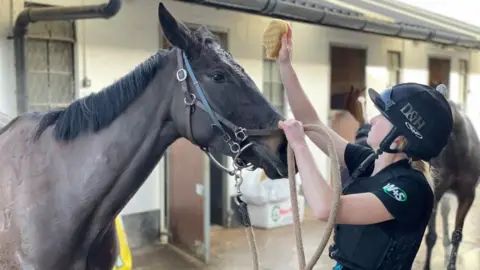 BBC A picture of a horse being cleaned with a sponge by a woman wearing a black top, helmet and vest.