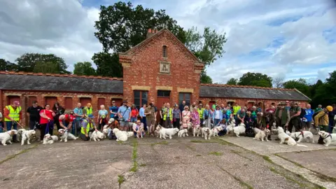 BBC Dog owners and their dogs lined up outside a stable block