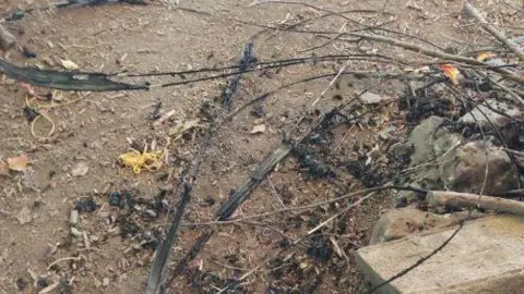 Devon and Cornwall Police Images of the damage sustained at Poole Farm