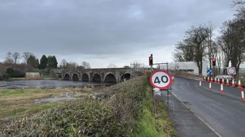 Bridge with grass in front of it