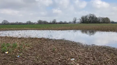 A large empty farm field with trees forming the border in the distance. Surface flood water takes up much of the foreground, as well as some litter.