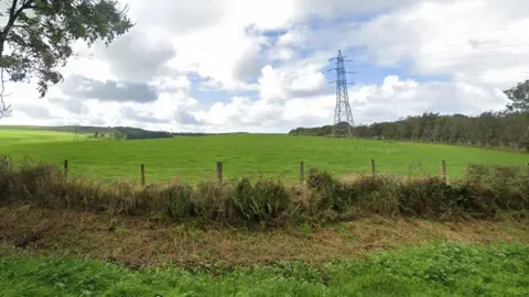 Google Field with trees and pylon at Branthwaite Edge