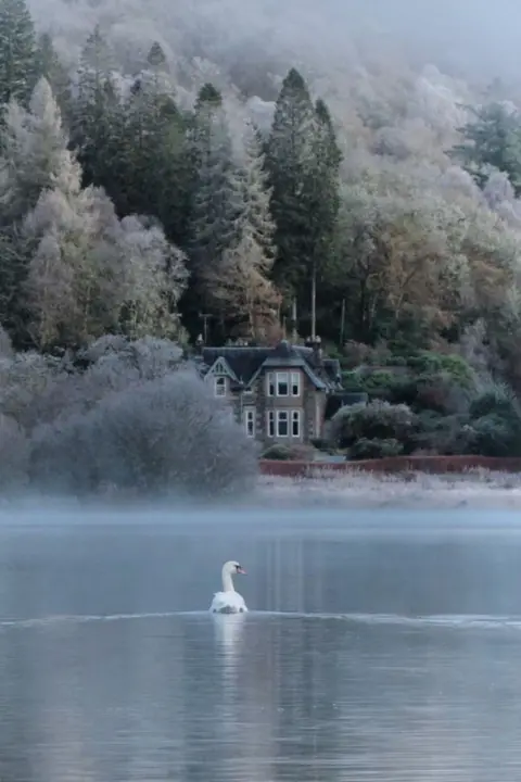 Stuart Irvin A swan in a loch with a frosty scene of a hillside and house in the background.