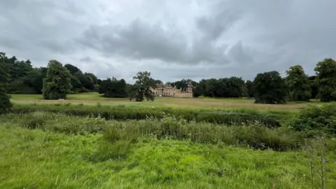 A country house set in land, some of it overgrown, and surrounded by trees.