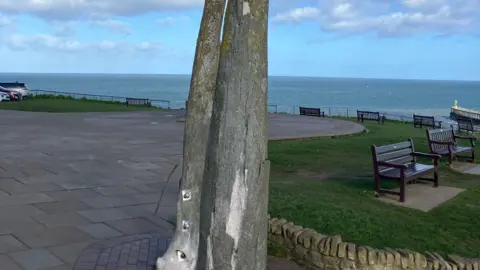 Steve Jones/BBC A photo showing damage to Whitby's whalebone arch, with pieces of the bone chipped away.