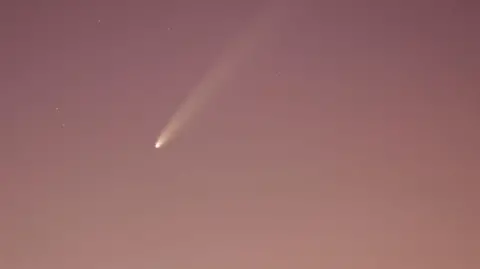 Reuters Comet going across the sky