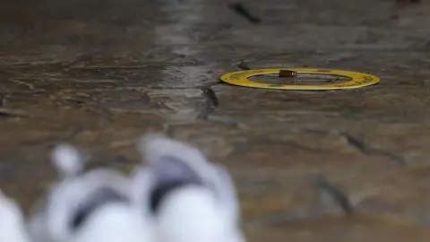 A bullet on the ground, surrounded by a yellow circle. A pair of white shoes are near it on the ground.