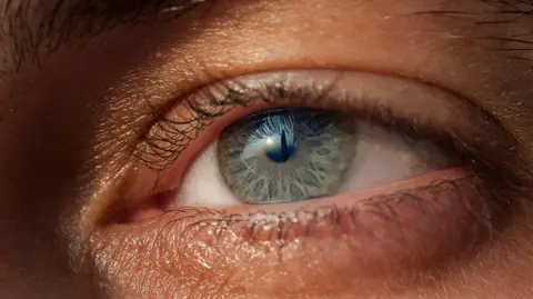 A close up image of a blue eye
