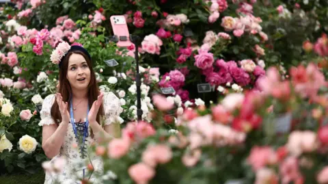 Reuters A huge display of roses at the Chelsea Flower Show