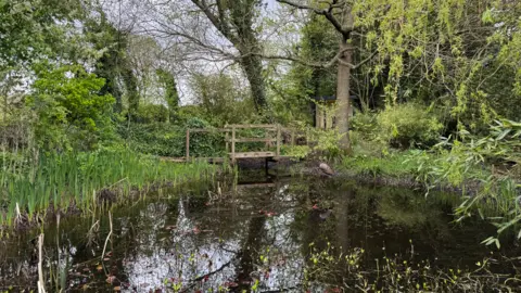 Wildlife pond inside a 25 acre garden site in Derbyshire
