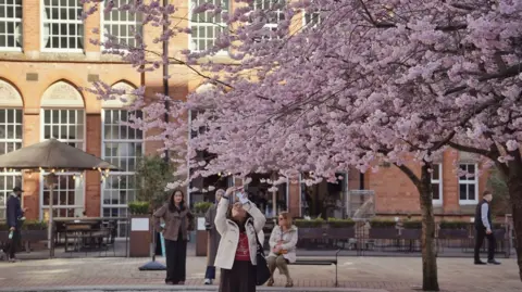A women in a white coat with red top looking up at a cherry blossom tree and taking a photo with her mobile phone