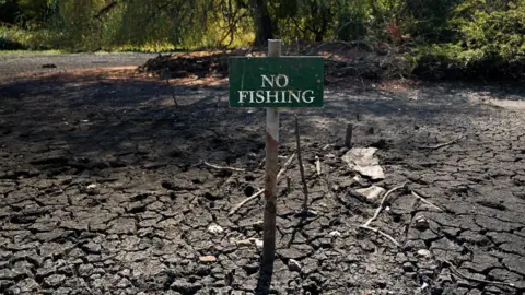 PA Media A baked, cracked bed is all that is left of the Falmer Pond in East Sussex. A green sign, saying "No Fishing" stands in the middle of the depleted pond. 