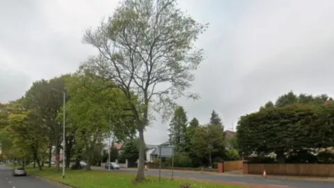 A tree in the middle of the dual carriage on Aigburth Road, Liverpool