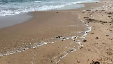 Fidra Waves washing up on thousands of tiny nurdles on the shore line at North Tynesdie. 