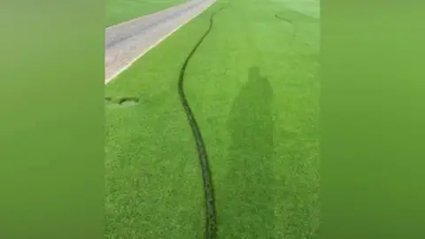 Eastbourne Borough Council A deep line running across a tennis lawn.
