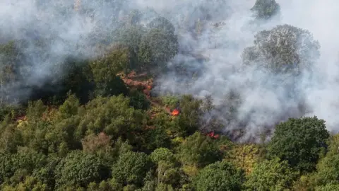 Nottinghamshire Fire and Rescue Service A photo from above where flames can be seen among shrubbery.
