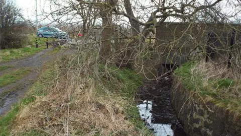 The tiny stream at Cut Throat Dene in Sunderland. The water is murky with leaves floating in it. A tree is rising above the stream, which is next to a path. A blue car is parked at the top of the stream. 