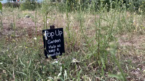Jon Wright/BBC A black sign with the words “Pop Up Garden Help us keep it beautiful” on a wooden pole is stuck in the ground and surrounded by wild green plants. 