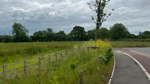 Image of a green field that takes up most of the image. A wooden fence runs along the edge of the field, with grass either side of it. On the right, part of a road can be seen.