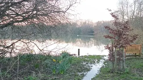 Ashley Smith The River Windrush flowing into Duck Lake in Witney. There is a bench on the flooded shore. Daffodils are growing on the side. A swan can be seen in the distance. It's overcast.