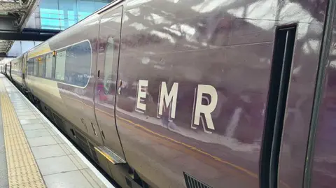 EMR train waiting at a station platform