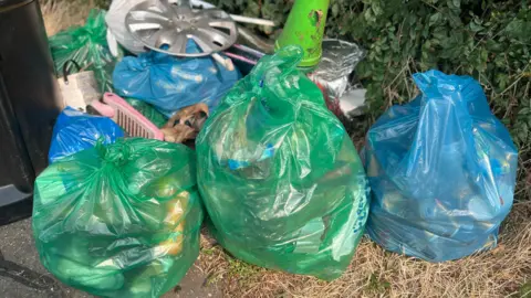 Emma Baugh/BBC Bags of litter collected on the street