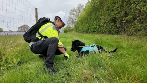 Leak detection dog handler Steph Barrett in a rural area with Tico, an eight-year-old black Labrador cross Cocker Spaniel. She is squatting next to the dog which is on a leash. It is a cloudy day.