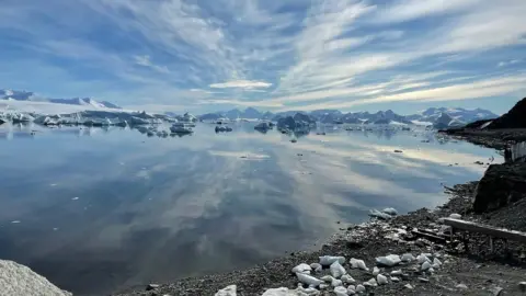 Alan Cox A landscape photo of water across Antarctica taken from a shore. The sky is reflected in the water and there are icebergs and mountains in the distance.