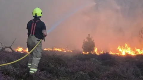 The back view of a firefighter wearing a yellow hard hat and holding a fire hose. He is pouring water towards a wildfire at Dunwich.