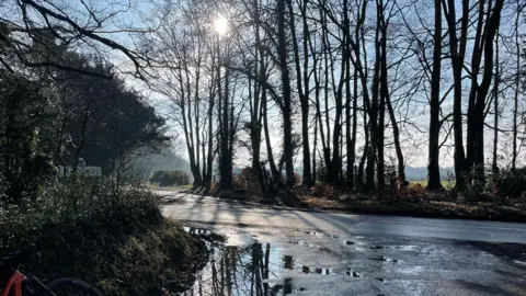 Weather Watchers/Stinky Pete A copse of trees alongside a country road is silhouetted against a winter sun, the trees and bushes dark. The road surface is slick as though it has been rained on recently