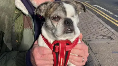 Frankie Johns A one-eyed dog being held by a man