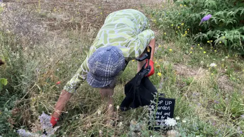 Jon Wright/BBC A woman in a blue tweed cap and a green patterned top is bending over to pick up rubbish in tall grass. She is wearing red gloves and is holding a black bag and a litter picker in her left hand.