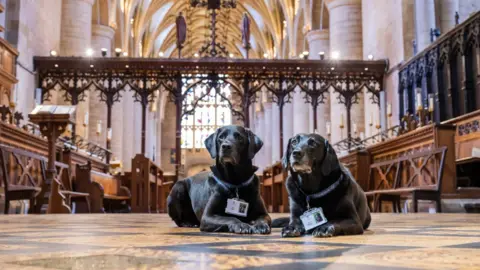 Jack Boskett Two black labradors wearing lanyards are sat on the floor of Tewkesbury Abbey.