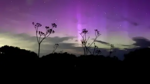 Weather Watchers/Mikeys988 The Northern Lights above Bempton 