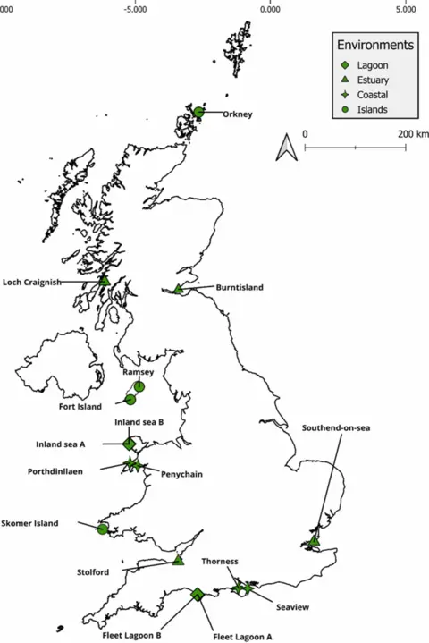 Swansea University A map from the research paper showing the seagrass meadows which were studied across the UK