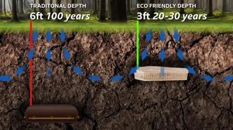 Graphic illustration showing a wooden coffin buried 6ft deep in the ground with the caption "100 years"and another casket with melted wire buried 3ft deep with captions "20-30 years". There are blue arrows showing the flow of oxygen in the top three layers of the soil.