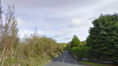 A country road with trees on either side.