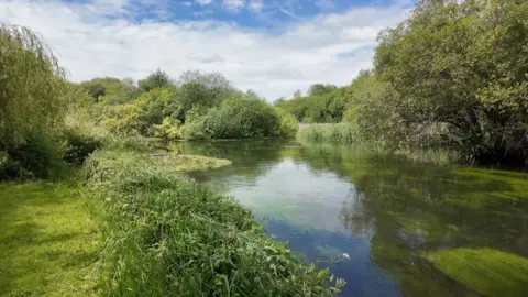 White clouds hang in a blue sky above a section of the River Test with green weeds in the clear water
