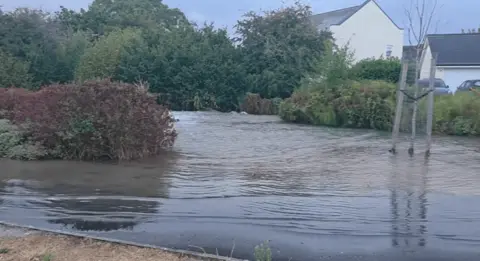 A road is entirely submerged by water. There are bushes around it and houses in the background, beyond the hedgerows.
