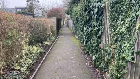 A long path between a fence and a hedgerow. 