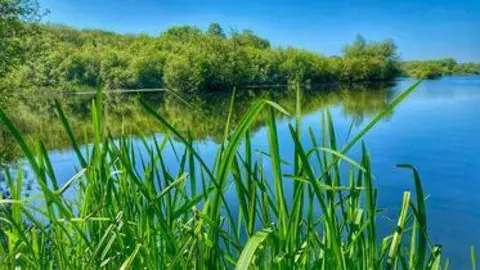 Dean Marcy  Wide view of Fordwich Lake 