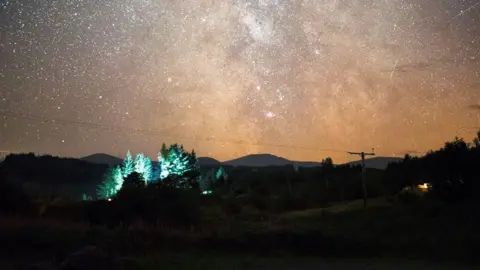 A dark sky scene with some trees lit up in the foreground