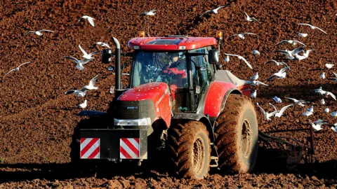 Seagulls follow a tractor ploughing for wheat in a field in Croxall, Staffordshire. Press Association photo available for use for BBC News. 