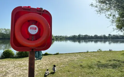 A lifebuoy in a red case on a post at the edge of a lake. Two ducks are visible on the grass and trees surround the far edge of the water.